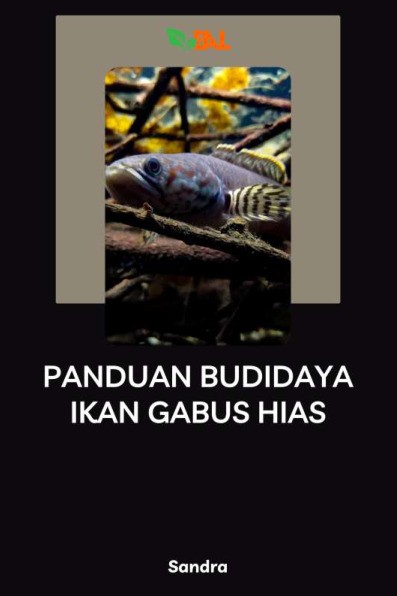 Panduan Budidaya Ikan Gabus Hias